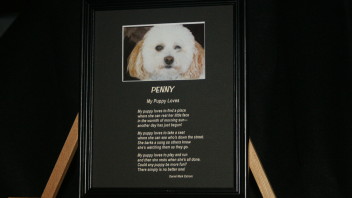 My Puppy Loves:  An Etched Puppy Poem / 8×10 Inches