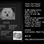 A silly puppy poem